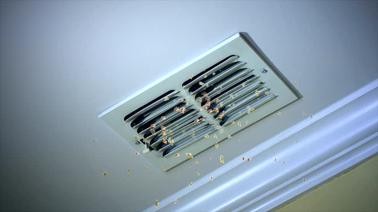 Best Professional Duct Cleaning Services  in Pacific, WA